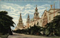 Palm Avenue Postcard