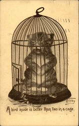 Kitten in a Birdcage Cats Postcard Postcard