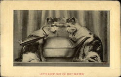 Let's Keep Out of Hot Water Postcard