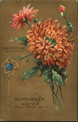 Sapphire and Aster Postcard