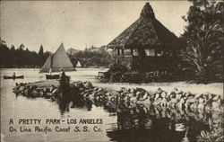 A Pretty Park On Line Pacific Coast S.S. Co Postcard