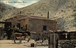 Typical Mud House Postcard