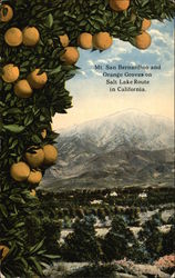 Mt. San Bernardino and Orange Groves on Salt Lake Route in California Redlands, CA Postcard Postcard