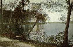 Shores of Masscuppic, Lakeview Postcard