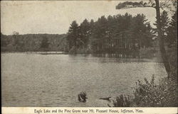 Eagle Lake and the Pine Grove near Mt. Pleasant House Postcard