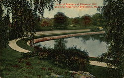 A Bit of Scenery at Chestnut Hill Showing Reservoir Postcard