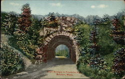 Arch Bridge in Franklin Park Boston, MA Postcard Postcard