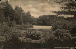 Red Spring Cove, Lake Pearl Wrentham, MA Postcard Postcard