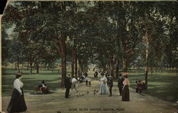 The Common Boston, MA Postcard Postcard