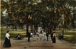 Scene on the Common Boston, MA Postcard Postcard