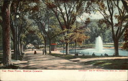 The Frog Pond, Boston Common Postcard