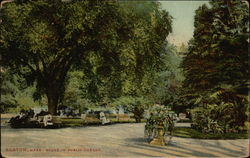 Scene in Public Garden Postcard