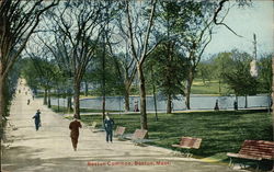 Boston Common Massachusetts Postcard Postcard