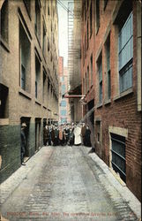 Pie Alley Postcard