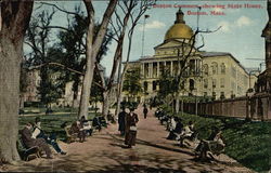 Boston Common showing State House Postcard