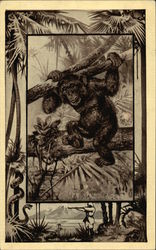 The Chimpanzee Monkeys Postcard Postcard