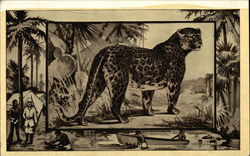 The Leopard Postcard Postcard