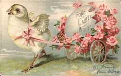 Fond Easter Wishes With Chicks Postcard Postcard