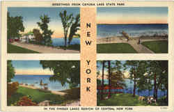 Cayuga Lake State Park Postcard