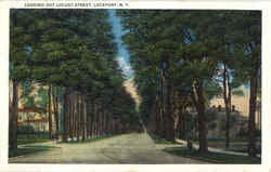 Looking Out Locust Street Postcard