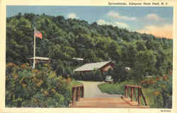 Sprucelands, Allegany State Park Postcard