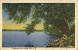 Greetings From Oneida Lake New York Postcard Postcard