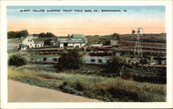 Sleepy Hollow Gardens, Henry Field Seed Co Shenandoah, IA Postcard Postcard