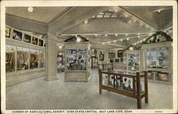 Corner of Agricultural Exhibit, Utah State Capitol Salt Lake City, UT Postcard Postcard