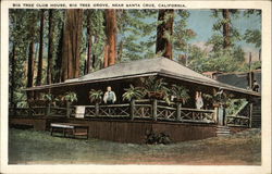 Big Tree Club House, Big Tree Grove Postcard