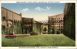 Hiram Walker & Sons Limited - Maturing Warehouses Postcard