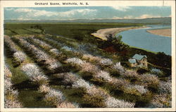 Orchard Scene Wolfville, NS Canada Nova Scotia Postcard Postcard