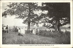 Mayo's Grove at Head of Lake Waukewan Meredith, NH Postcard Postcard