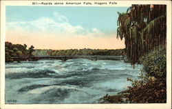 Rapids above American Falls Postcard