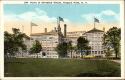 Home of Shredded Wheat Niagara Falls, NY Postcard Postcard