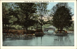 Scene in Onondaga Park Postcard