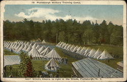 Plattsburgh Military Training Camp Postcard