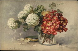 Vase of Red & White Flowers Postcard Postcard