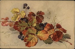 Fall Foliage with Berries Trees Postcard Postcard