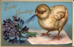 Easter Greetings with Chick & Violets Flowers Postcard Postcard