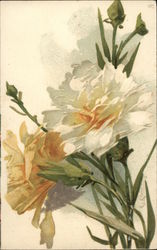 White & Tan Flowers with Long Green Stems Postcard Postcard