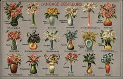 Language of Flowers Postcard Postcard