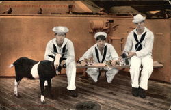 Mascots on board USS Washington Navy Postcard Postcard