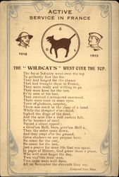 Active Service in France - The Wildcats Went Over the Top World War I Postcard Postcard