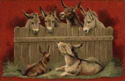 Donkeys looking over Wood Fence Postcard