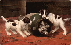 Puppies with Kitten in Crockery Dogs Postcard Postcard