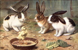 Among the Bunnies Postcard