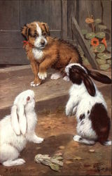 Among the Bunnies Postcard