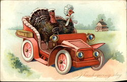 Thanksgiving Day Turkeys Postcard Postcard