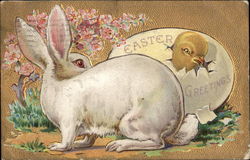 Easter Greetings Postcard