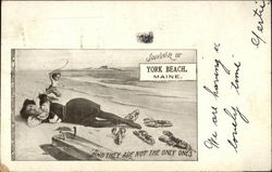 Souvenir of York Beach, Maine, And They are Not the Only Ones Postcard Postcard